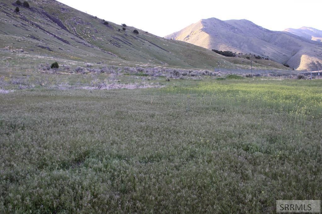 MLS #2144358 image #0