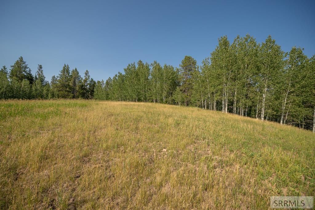 MLS #2172427 image #0
