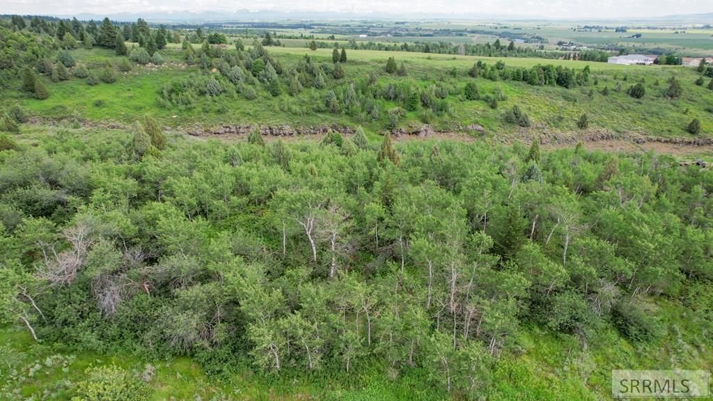 MLS #2175520 image #0