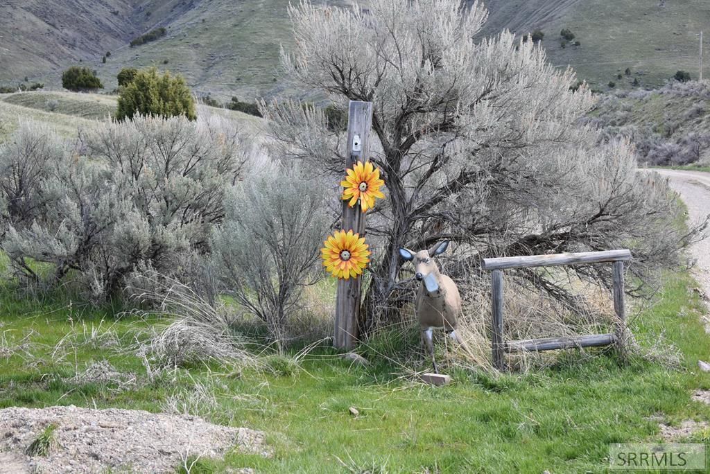 MLS #2177161 image #0