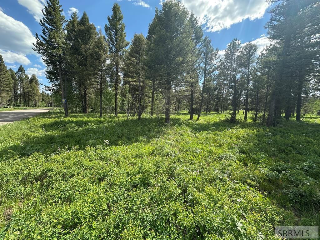MLS #2177197 image #0