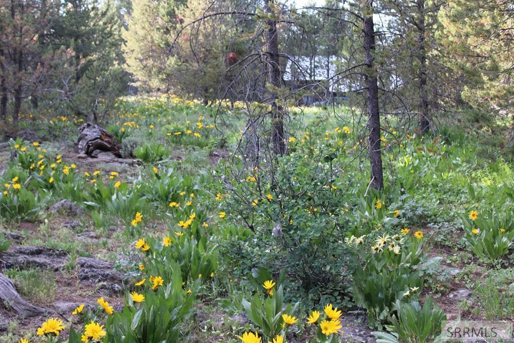 MLS #2177437 image #0
