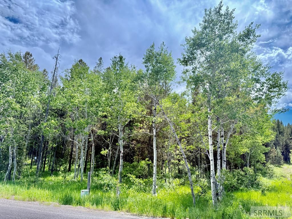 MLS #2177559 image #0