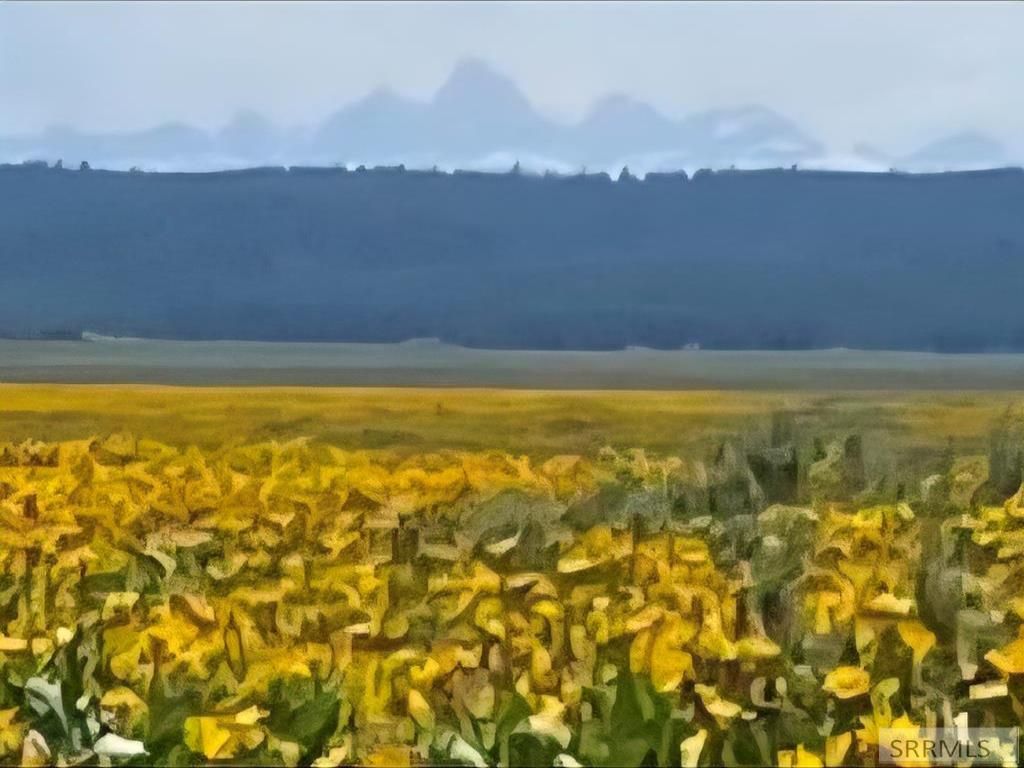 MLS #2178294 image #0