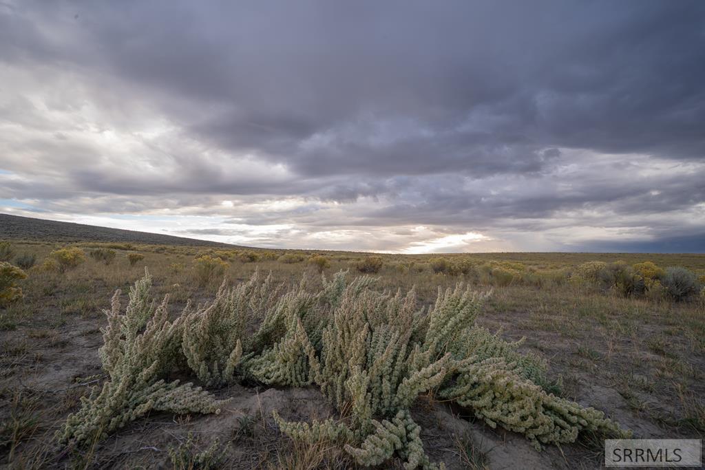 MLS #2179596 image #0