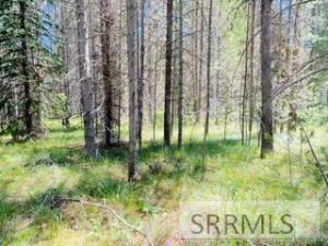 MLS #2179628 image #0
