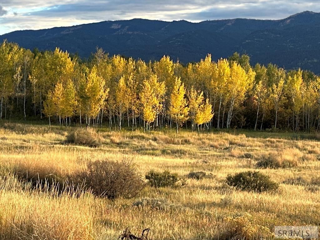 MLS #2179917 image #0