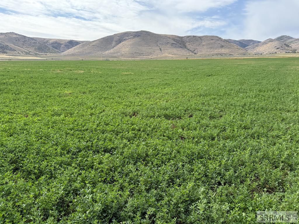 MLS #2180518 image #0