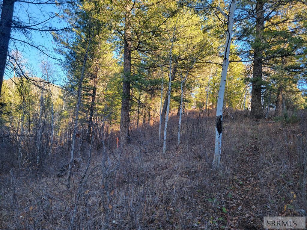 MLS #2180857 image #0