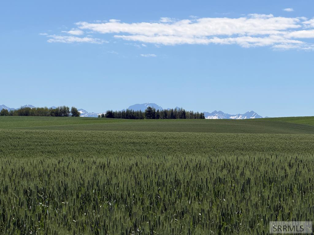 MLS #2181451 image #0