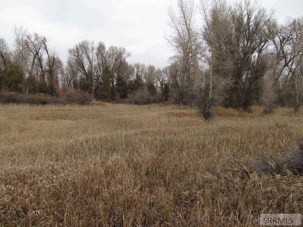 MLS #2182036 image #0