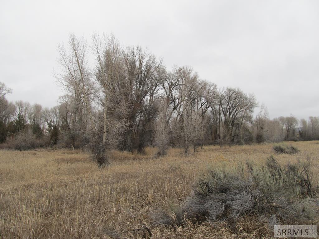 MLS #2182037 image #0