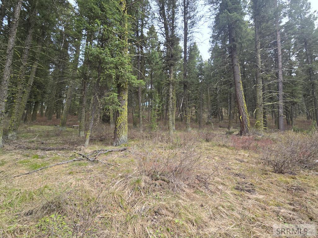MLS #2186105 image #0