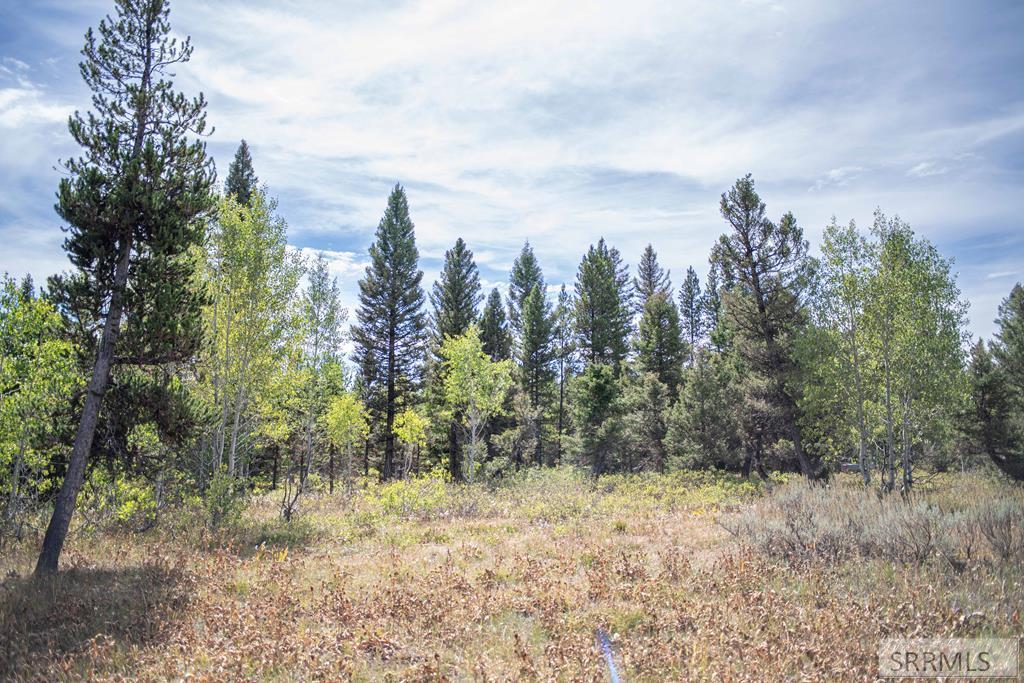 MLS #2186501 image #0