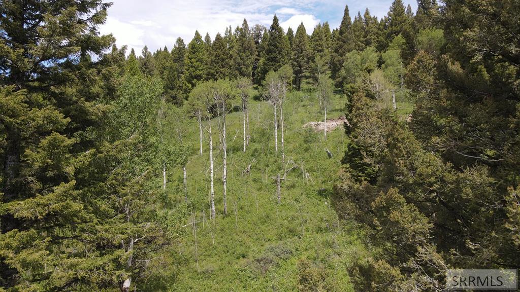 MLS #2186711 image #0