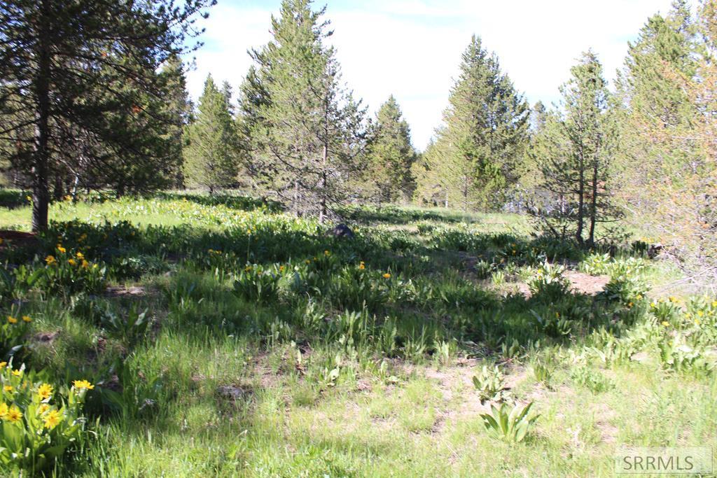 MLS #2187069 image #0