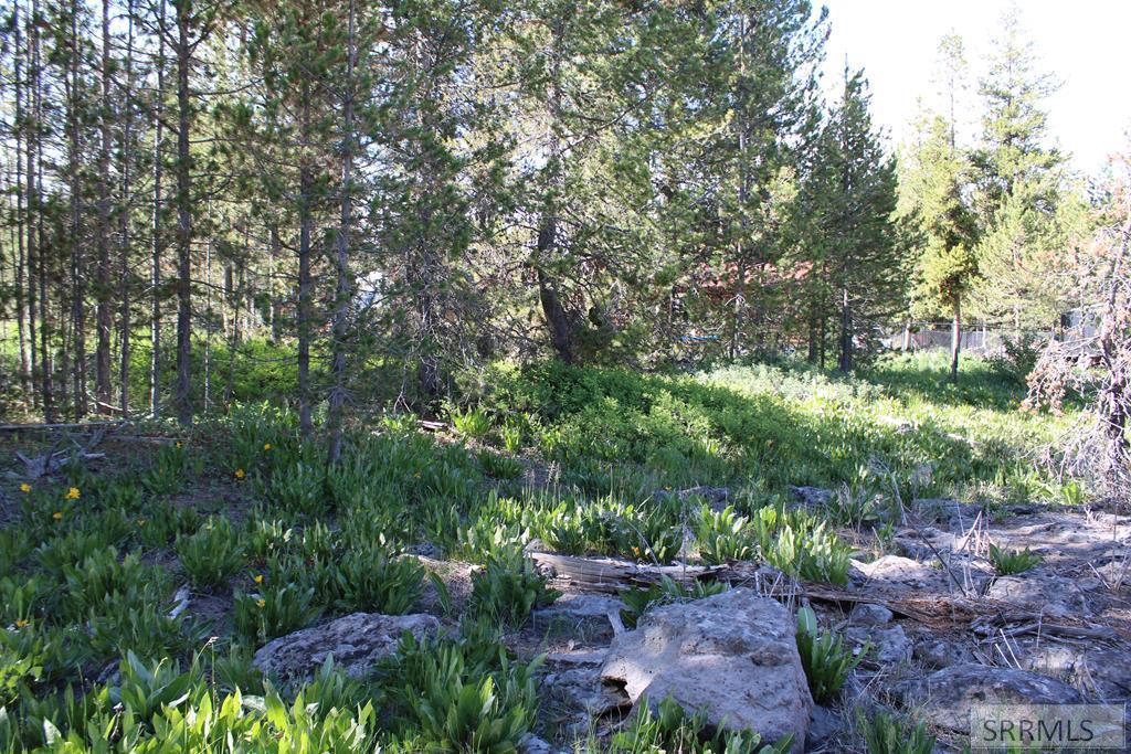 MLS #2187070 image #0