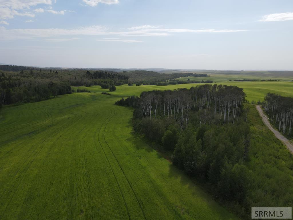 MLS #2187653 image #0