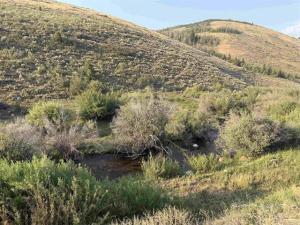 MLS #2188444 image #0