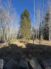MLS #2188793 image #0